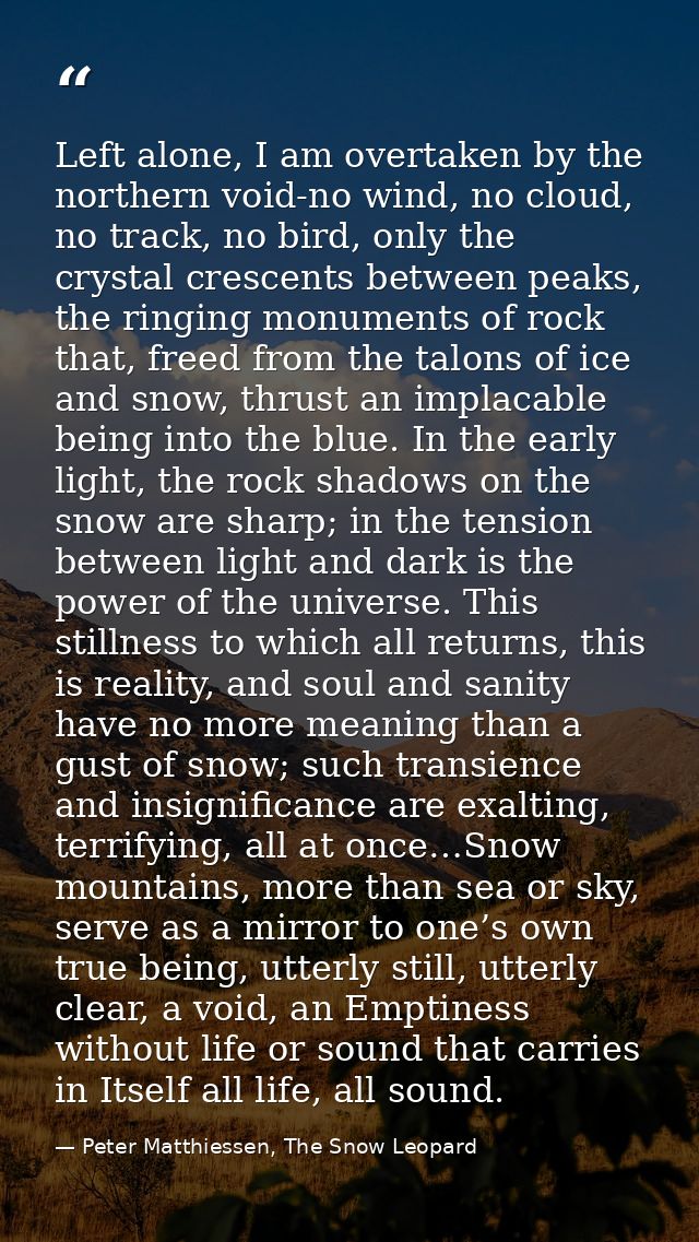Left alone, I am overtaken by the northern void-no wind, no cloud, no track, no bird, only the crystal crescents between — Peter Matthiessen, The Snow Leopard