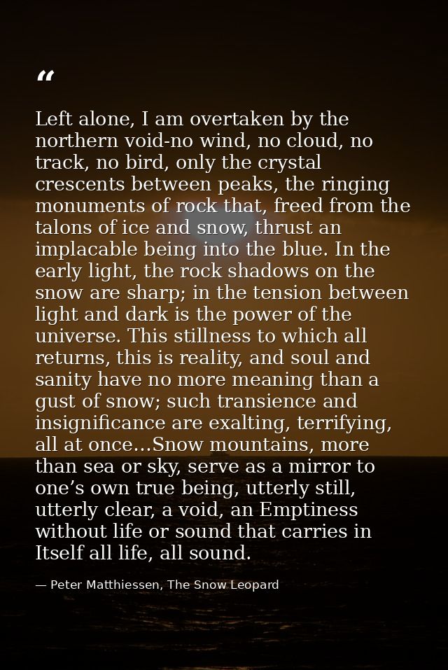 Left alone, I am overtaken by the northern void-no wind, no cloud, no track, no bird, only the crystal crescents between — Peter Matthiessen, The Snow Leopard