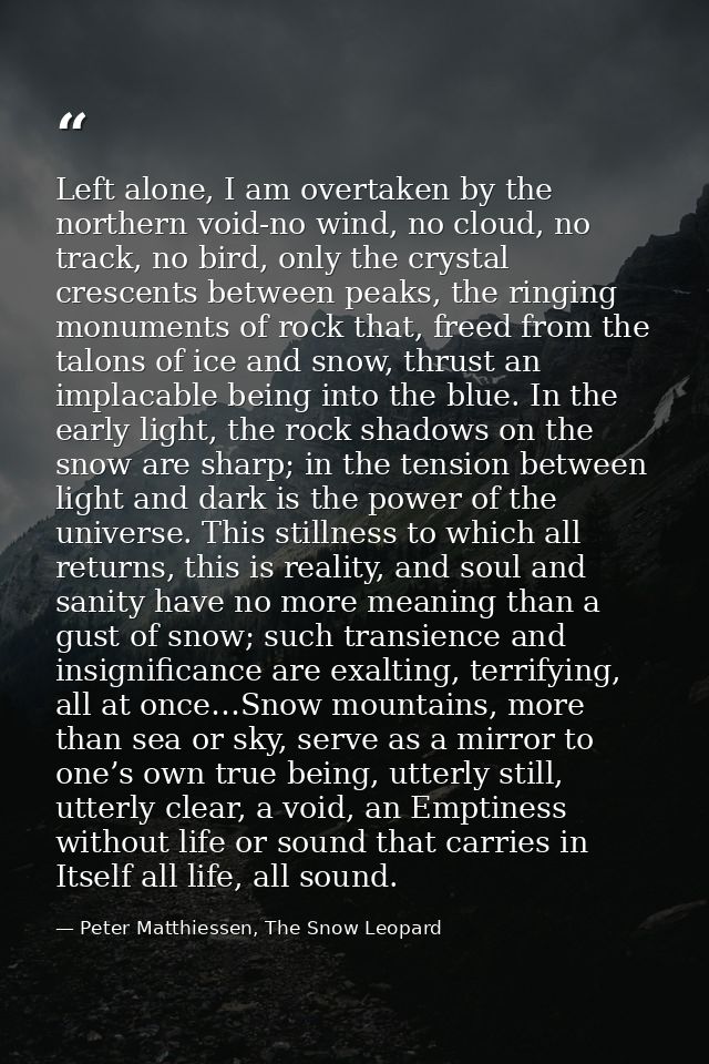 Left alone, I am overtaken by the northern void-no wind, no cloud, no track, no bird, only the crystal crescents between — Peter Matthiessen, The Snow Leopard