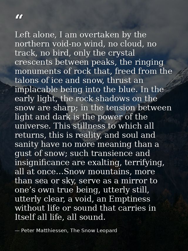 Left alone, I am overtaken by the northern void-no wind, no cloud, no track, no bird, only the crystal crescents between — Peter Matthiessen, The Snow Leopard