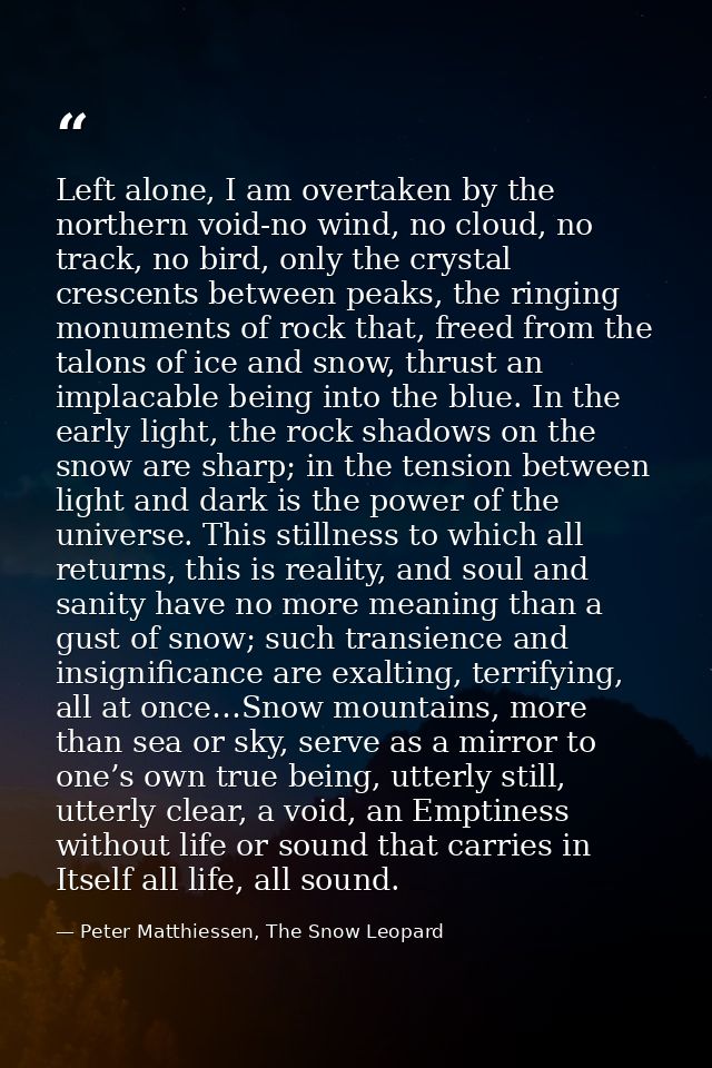 Left alone, I am overtaken by the northern void-no wind, no cloud, no track, no bird, only the crystal crescents between — Peter Matthiessen, The Snow Leopard