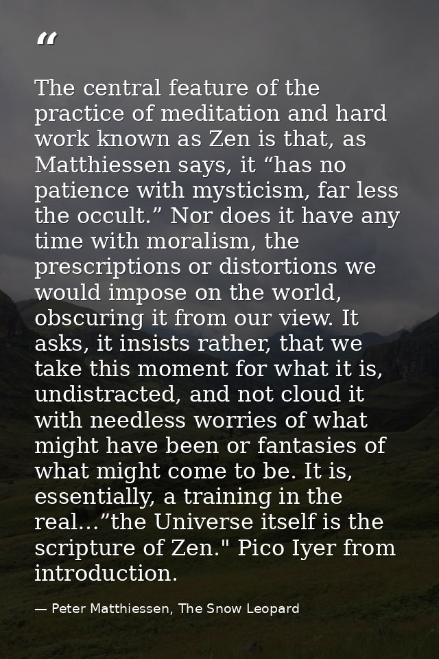 The central feature of the practice of meditation and hard work known as Zen is that, as Matthiessen says, it “has no pa — Peter Matthiessen, The Snow Leopard