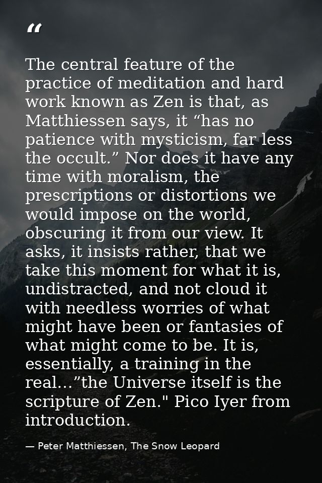 The central feature of the practice of meditation and hard work known as Zen is that, as Matthiessen says, it “has no pa — Peter Matthiessen, The Snow Leopard