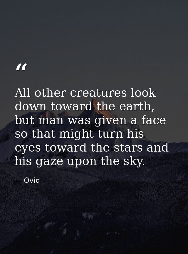 All other creatures look down toward the earth, but man was given a face so that might turn his eyes toward the stars an — Ovid