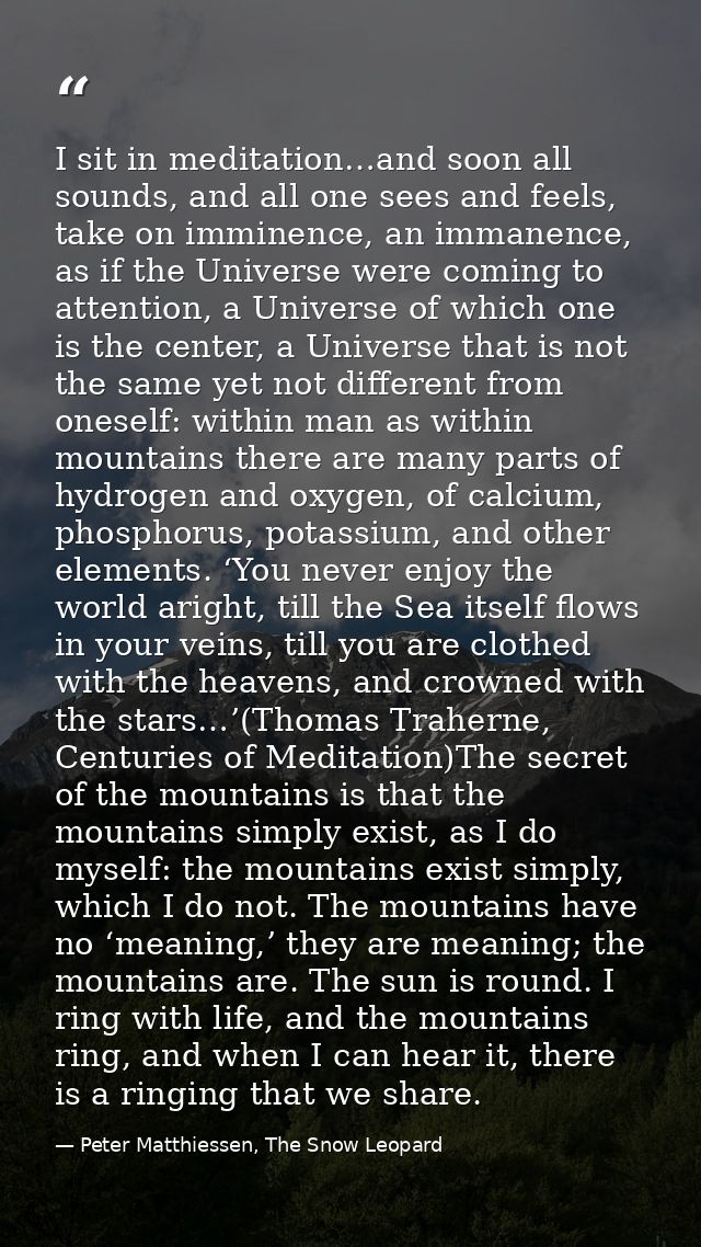 I sit in meditation…and soon all sounds, and all one sees and feels, take on imminence, an immanence, as if the Universe — Peter Matthiessen, The Snow Leopard
