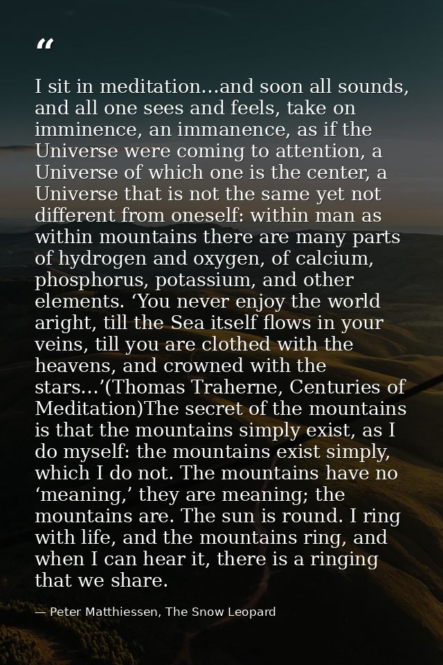 I sit in meditation…and soon all sounds, and all one sees and feels, take on imminence, an immanence, as if the Universe — Peter Matthiessen, The Snow Leopard