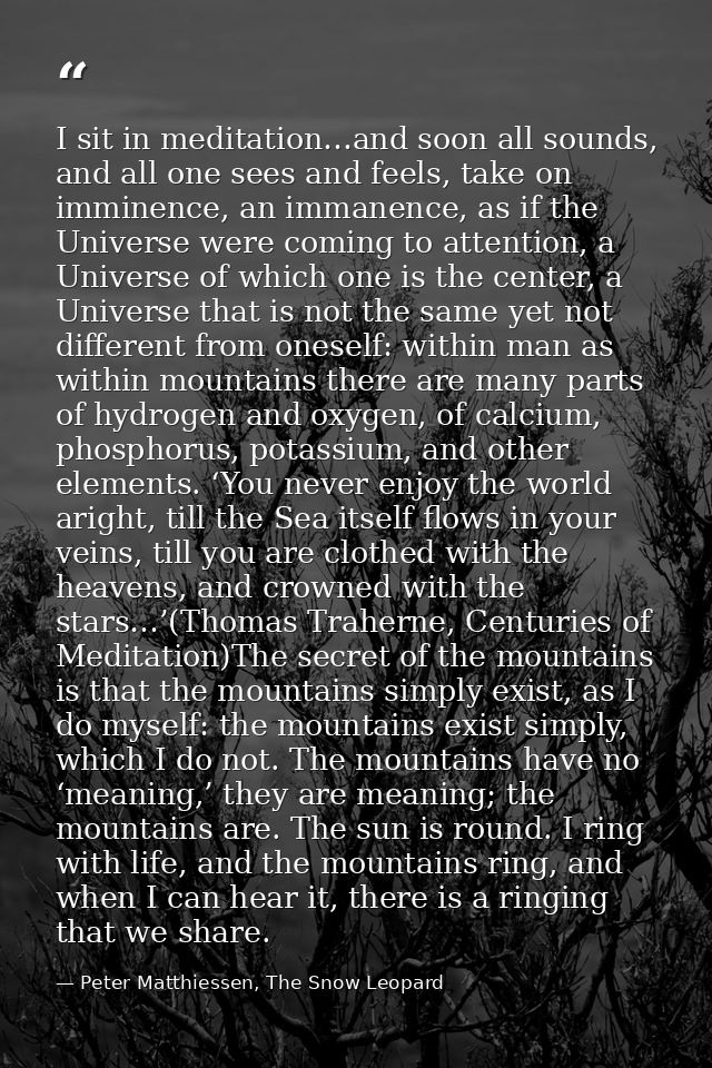 I sit in meditation…and soon all sounds, and all one sees and feels, take on imminence, an immanence, as if the Universe — Peter Matthiessen, The Snow Leopard