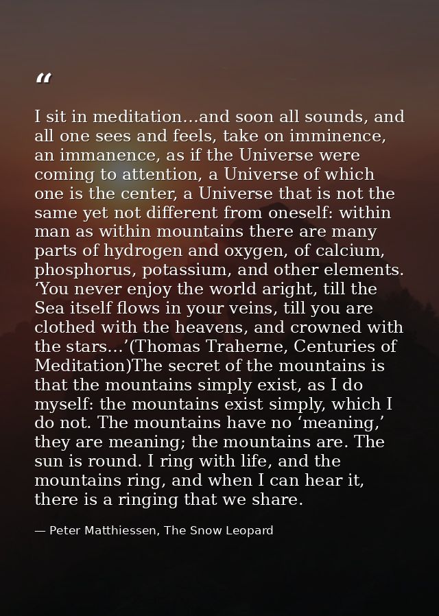 I sit in meditation…and soon all sounds, and all one sees and feels, take on imminence, an immanence, as if the Universe — Peter Matthiessen, The Snow Leopard