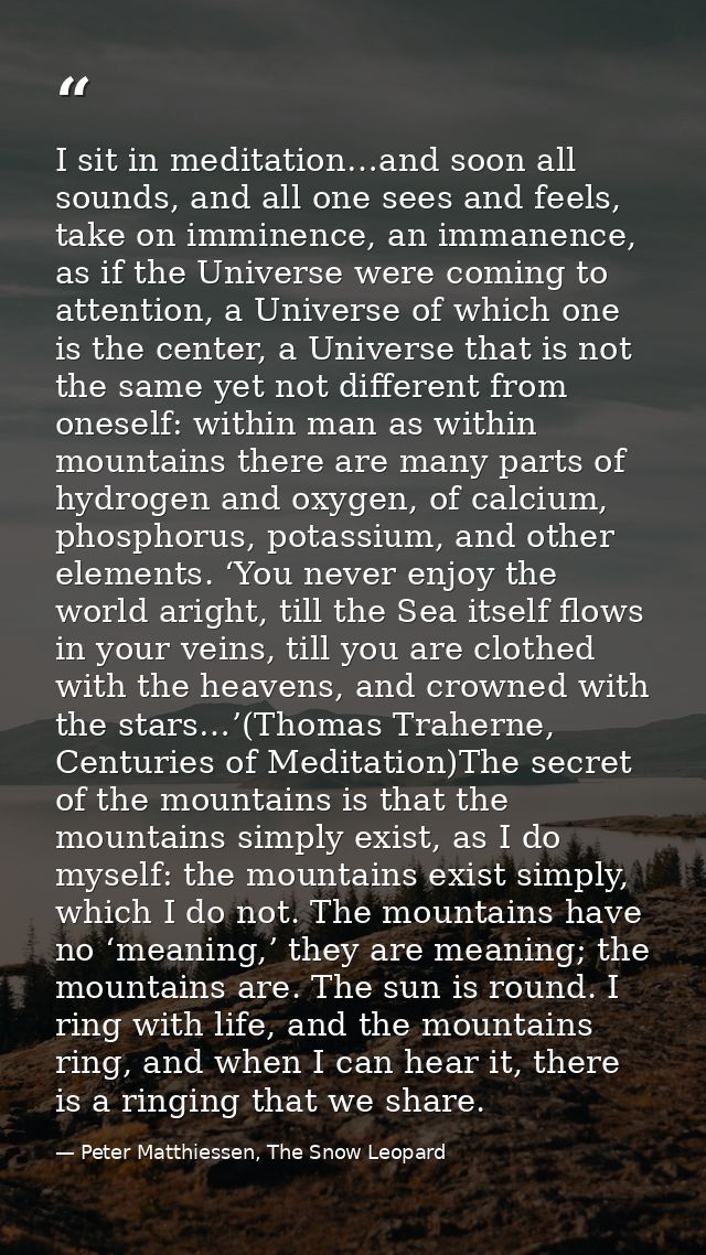I sit in meditation…and soon all sounds, and all one sees and feels, take on imminence, an immanence, as if the Universe — Peter Matthiessen, The Snow Leopard