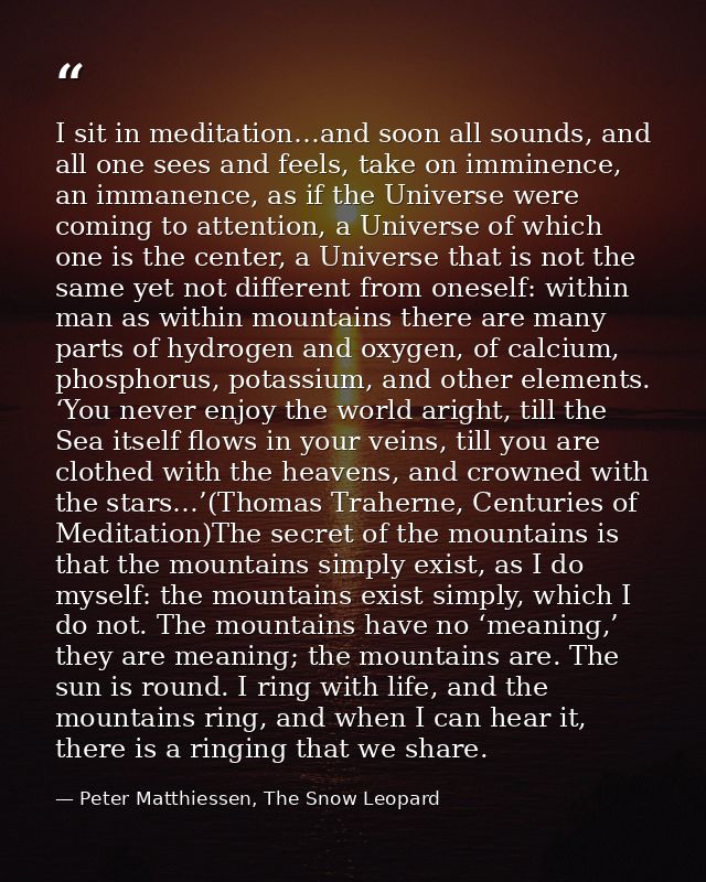 I sit in meditation…and soon all sounds, and all one sees and feels, take on imminence, an immanence, as if the Universe — Peter Matthiessen, The Snow Leopard