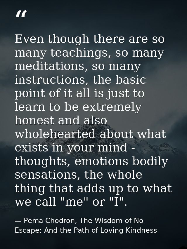 Even though there are so many teachings, so many meditations, so many instructions, the basic point of it all is just to — Pema Chödrön, The Wisdom of No Escape: And the Path of Loving Kindness