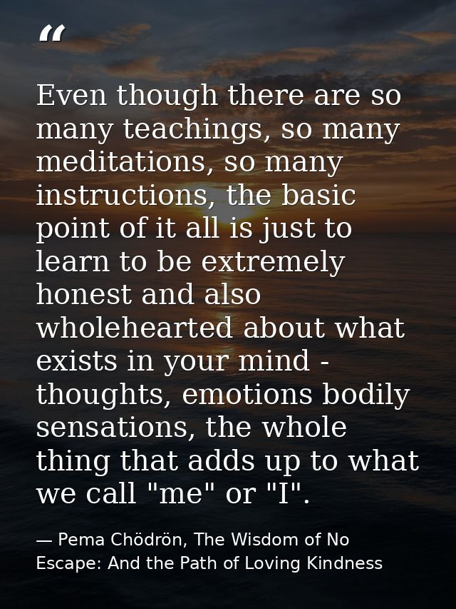 Even though there are so many teachings, so many meditations, so many instructions, the basic point of it all is just to — Pema Chödrön, The Wisdom of No Escape: And the Path of Loving Kindness