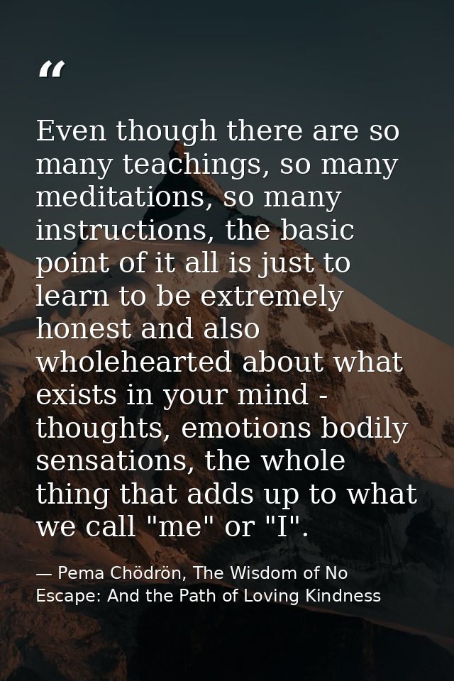 Even though there are so many teachings, so many meditations, so many instructions, the basic point of it all is just to — Pema Chödrön, The Wisdom of No Escape: And the Path of Loving Kindness