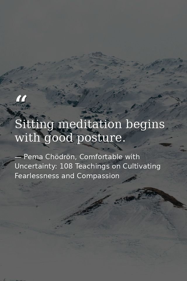 Sitting meditation begins with good posture. — Pema Chödrön, Comfortable with Uncertainty: 108 Teachings on Cultivating Fearlessness and Compassion