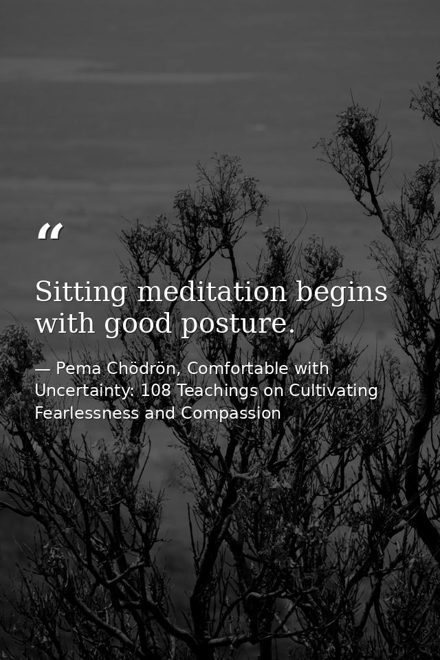 Sitting meditation begins with good posture. — Pema Chödrön, Comfortable with Uncertainty: 108 Teachings on Cultivating Fearlessness and Compassion