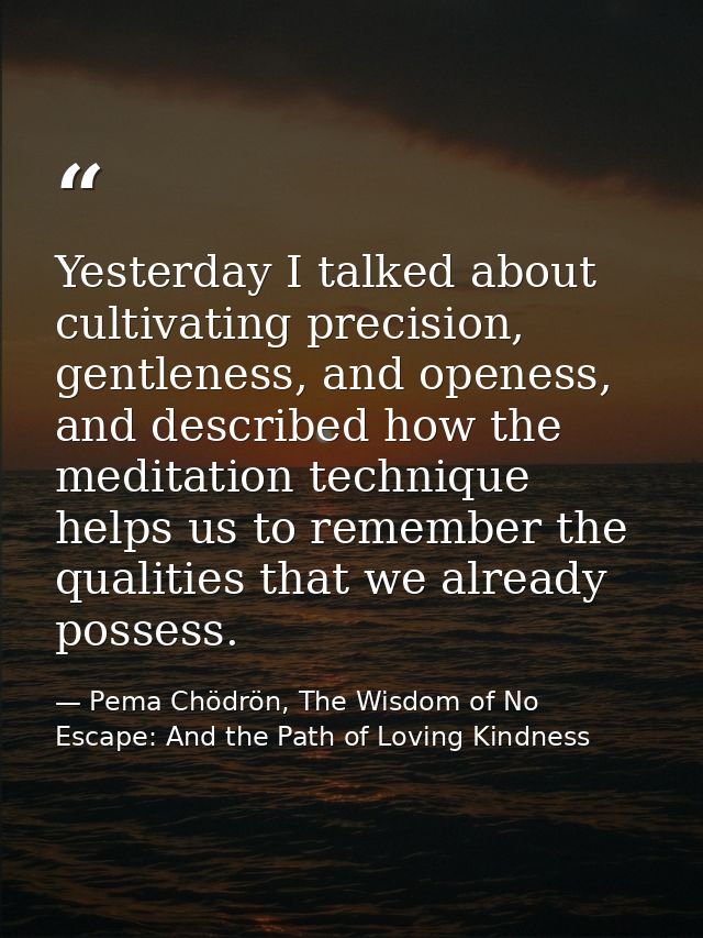 Yesterday I talked about cultivating precision, gentleness, and openess, and described how the meditation technique help — Pema Chödrön, The Wisdom of No Escape: And the Path of Loving Kindness