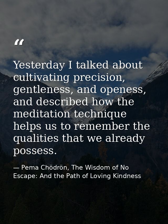 Yesterday I talked about cultivating precision, gentleness, and openess, and described how the meditation technique help — Pema Chödrön, The Wisdom of No Escape: And the Path of Loving Kindness
