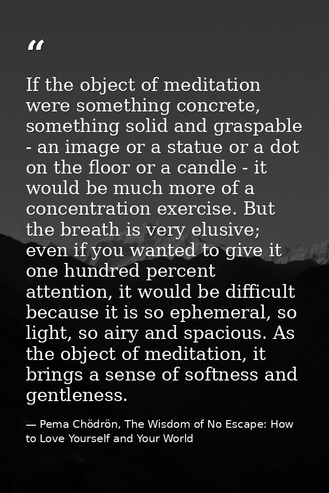If the object of meditation were something concrete, something solid and graspable - an image or a statue or a dot on th — Pema Chödrön, The Wisdom of No Escape: How to Love Yourself and Your World
