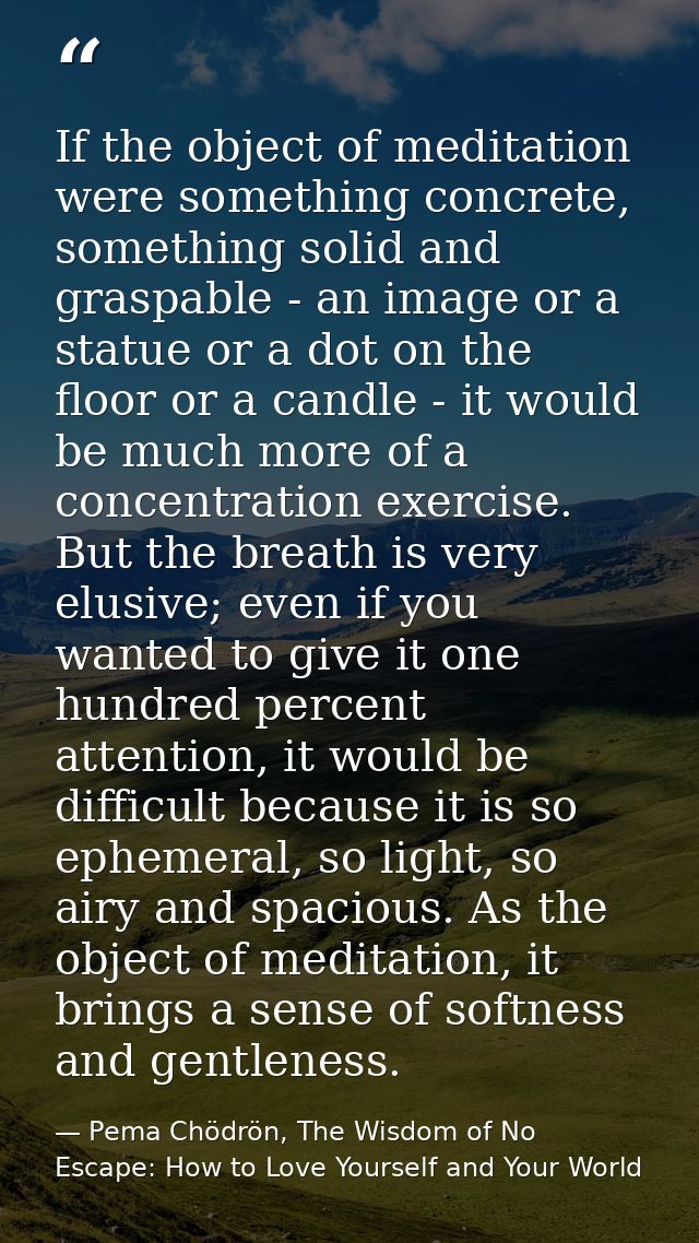 If the object of meditation were something concrete, something solid and graspable - an image or a statue or a dot on th — Pema Chödrön, The Wisdom of No Escape: How to Love Yourself and Your World