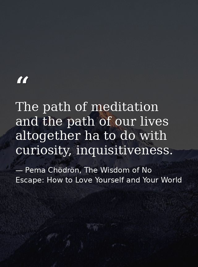 The path of meditation and the path of our lives altogether ha to do with curiosity, inquisitiveness. — Pema Chödrön, The Wisdom of No Escape: How to Love Yourself and Your World