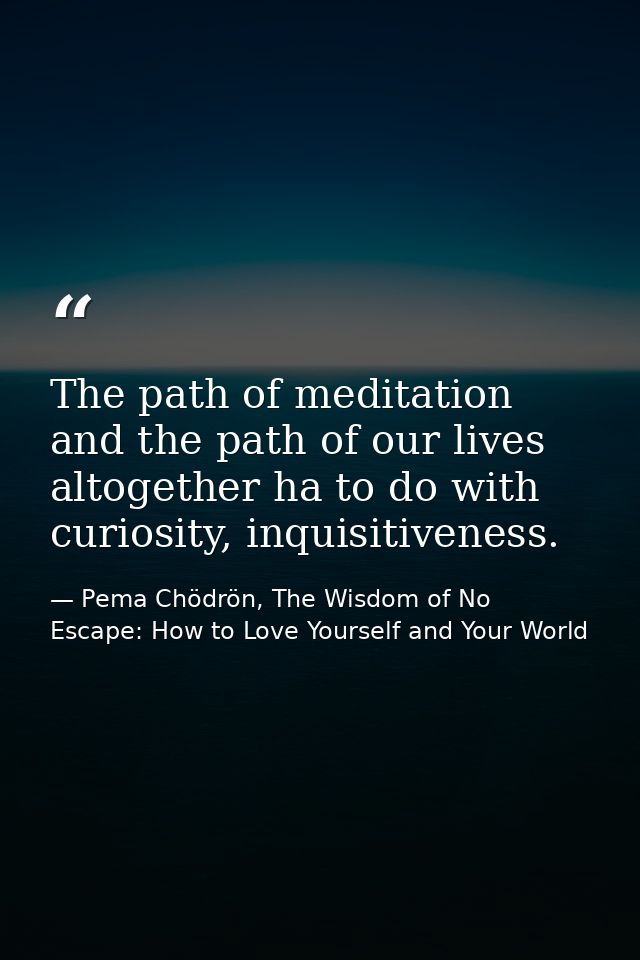 The path of meditation and the path of our lives altogether ha to do with curiosity, inquisitiveness. — Pema Chödrön, The Wisdom of No Escape: How to Love Yourself and Your World