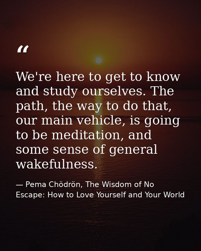 We're here to get to know and study ourselves. The path, the way to do that, our main vehicle, is going to be meditation — Pema Chödrön, The Wisdom of No Escape: How to Love Yourself and Your World