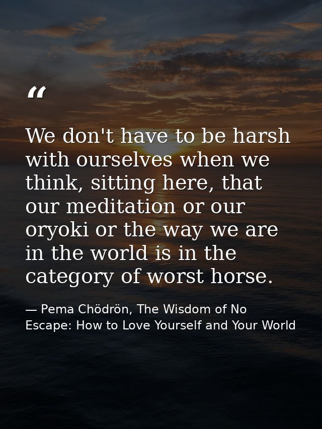We don't have to be harsh with ourselves when we think, sitting here, that our meditation or our oryoki or the way we ar — Pema Chödrön, The Wisdom of No Escape: How to Love Yourself and Your World