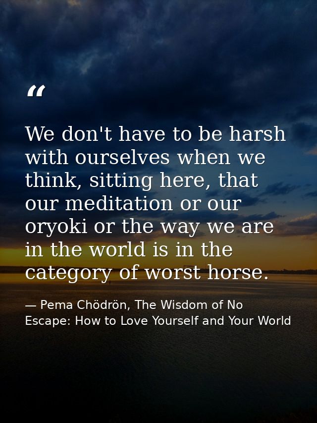 We don't have to be harsh with ourselves when we think, sitting here, that our meditation or our oryoki or the way we ar — Pema Chödrön, The Wisdom of No Escape: How to Love Yourself and Your World