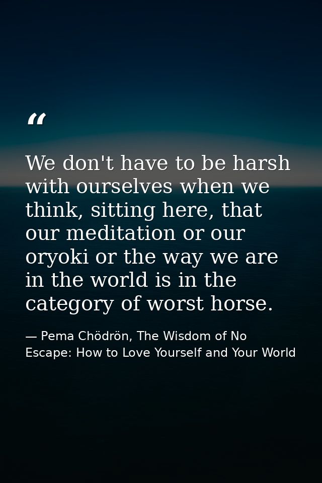 We don't have to be harsh with ourselves when we think, sitting here, that our meditation or our oryoki or the way we ar — Pema Chödrön, The Wisdom of No Escape: How to Love Yourself and Your World