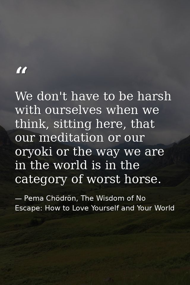 We don't have to be harsh with ourselves when we think, sitting here, that our meditation or our oryoki or the way we ar — Pema Chödrön, The Wisdom of No Escape: How to Love Yourself and Your World