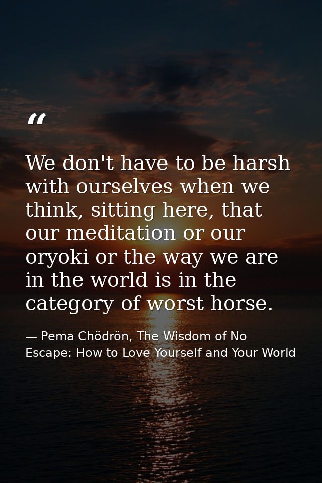 We don't have to be harsh with ourselves when we think, sitting here, that our meditation or our oryoki or the way we ar — Pema Chödrön, The Wisdom of No Escape: How to Love Yourself and Your World
