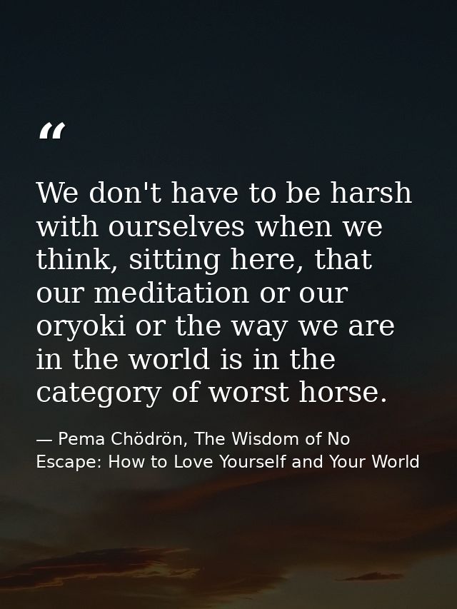 We don't have to be harsh with ourselves when we think, sitting here, that our meditation or our oryoki or the way we ar — Pema Chödrön, The Wisdom of No Escape: How to Love Yourself and Your World
