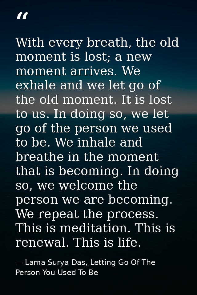 With every breath, the old moment is lost; a new moment arrives. We exhale and we let go of the old moment. It is lost t — Lama Surya Das, Letting Go Of The Person You Used To Be