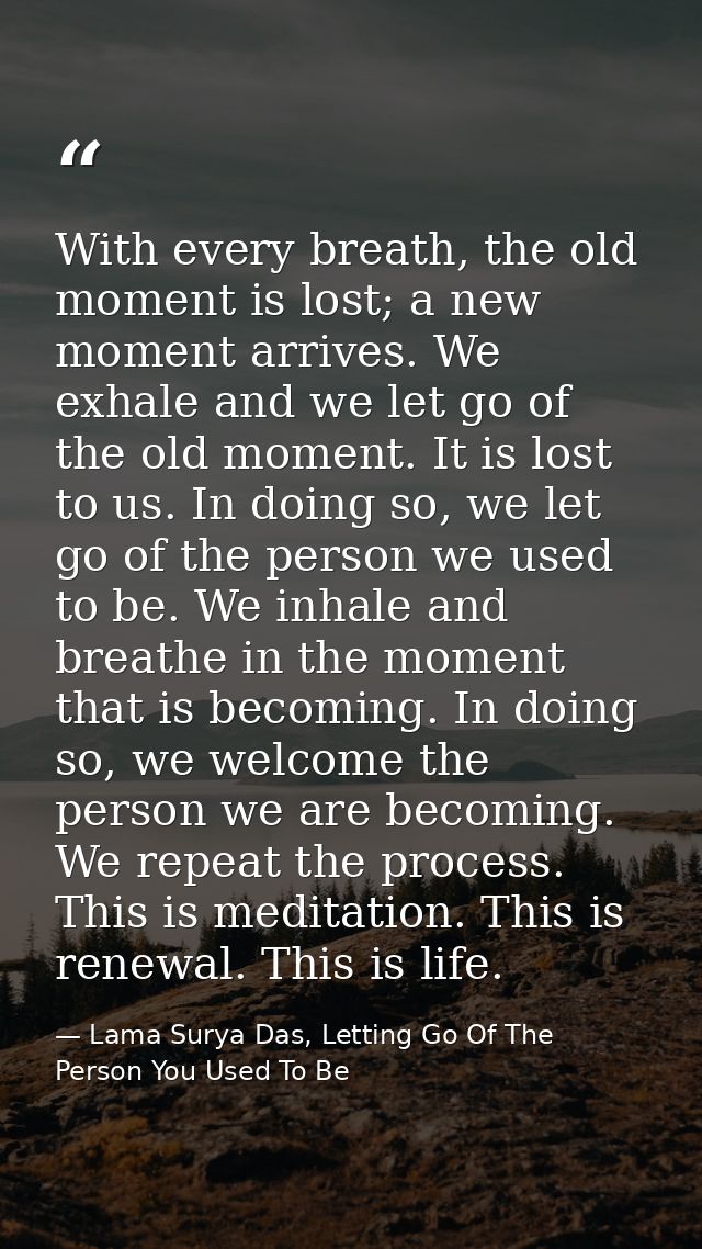 With every breath, the old moment is lost; a new moment arrives. We exhale and we let go of the old moment. It is lost t — Lama Surya Das, Letting Go Of The Person You Used To Be
