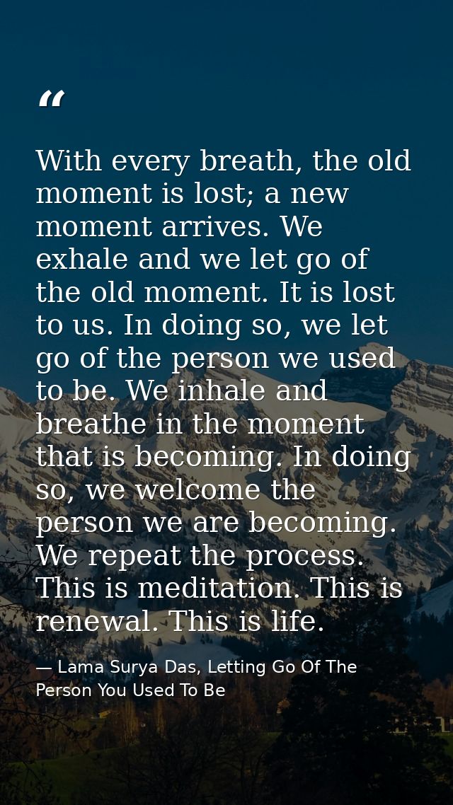 With every breath, the old moment is lost; a new moment arrives. We exhale and we let go of the old moment. It is lost t — Lama Surya Das, Letting Go Of The Person You Used To Be
