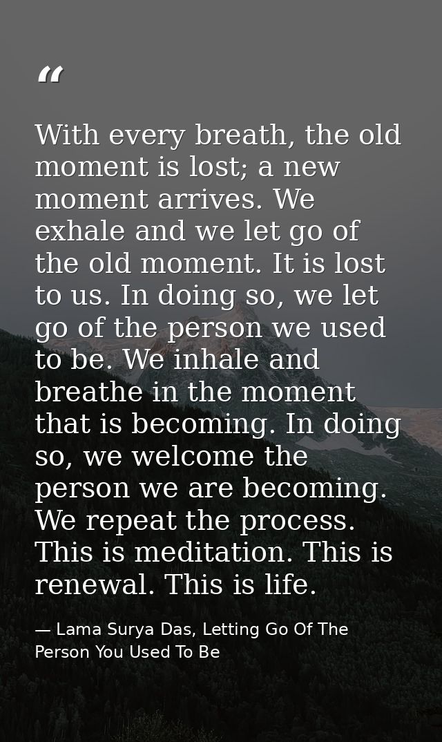 With every breath, the old moment is lost; a new moment arrives. We exhale and we let go of the old moment. It is lost t — Lama Surya Das, Letting Go Of The Person You Used To Be