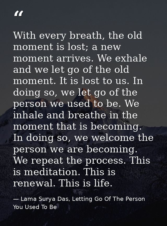 With every breath, the old moment is lost; a new moment arrives. We exhale and we let go of the old moment. It is lost t — Lama Surya Das, Letting Go Of The Person You Used To Be