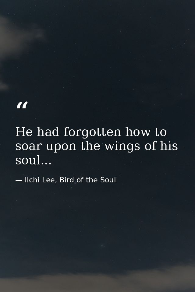 He had forgotten how to soar upon the wings of his soul... — Ilchi Lee, Bird of the Soul