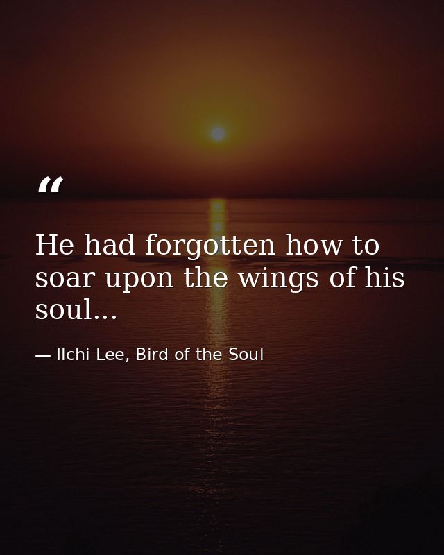 He had forgotten how to soar upon the wings of his soul... — Ilchi Lee, Bird of the Soul