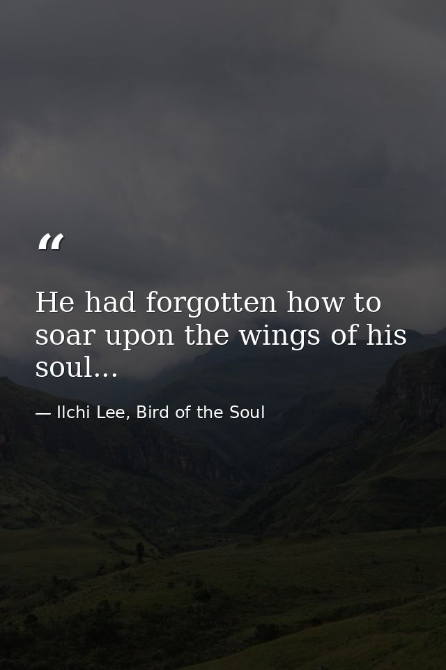 He had forgotten how to soar upon the wings of his soul... — Ilchi Lee, Bird of the Soul