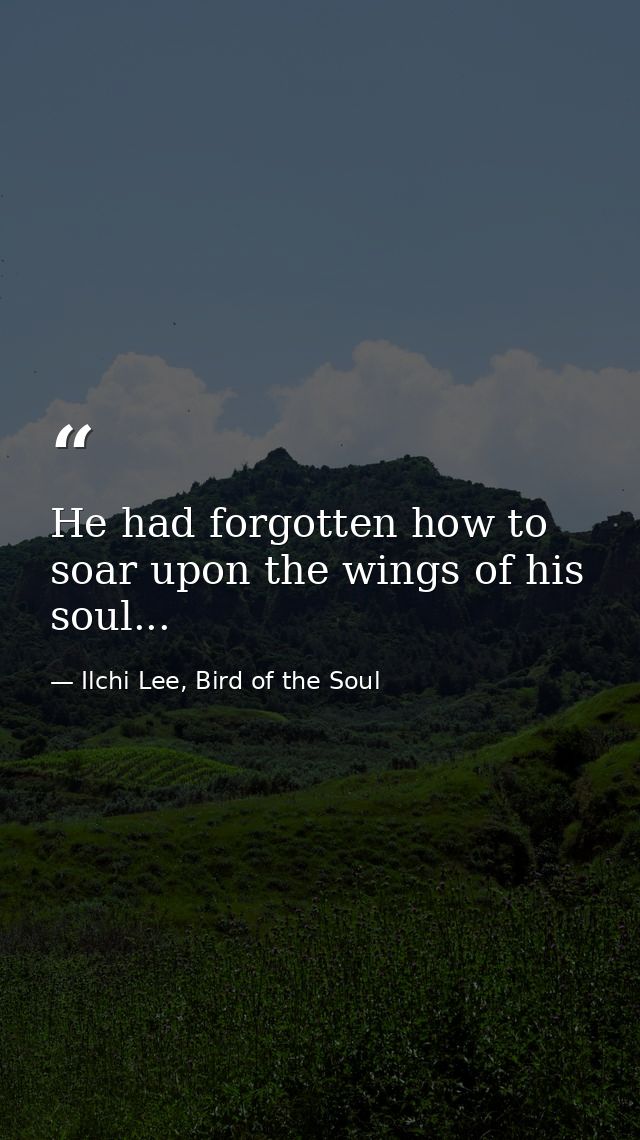 He had forgotten how to soar upon the wings of his soul... — Ilchi Lee, Bird of the Soul
