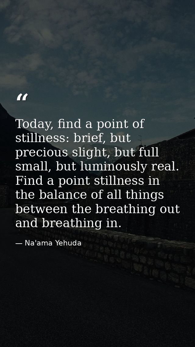 Today, find a point of stillness: brief, but precious slight, but full small, but luminously real. Find a point stillnes — Na'ama Yehuda
