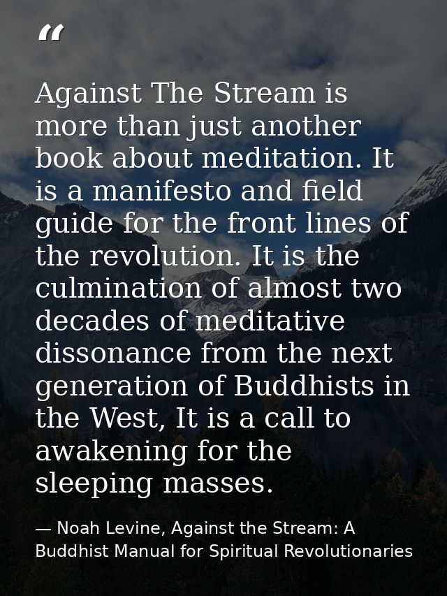 Against The Stream is more than just another book about meditation. It is a manifesto and field guide for the front line — Noah Levine, Against the Stream: A Buddhist Manual for Spiritual Revolutionaries