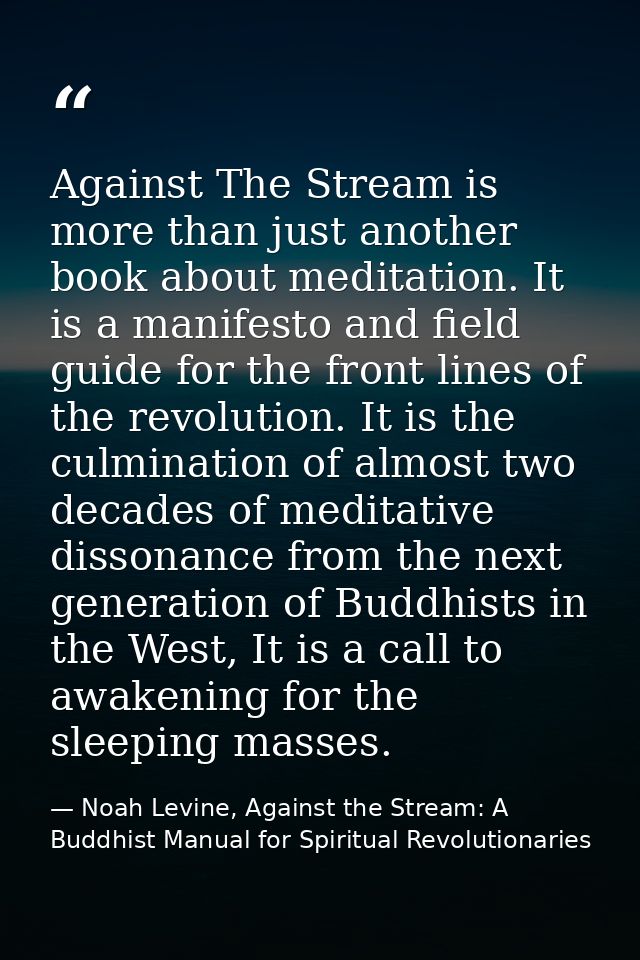 Against The Stream is more than just another book about meditation. It is a manifesto and field guide for the front line — Noah Levine, Against the Stream: A Buddhist Manual for Spiritual Revolutionaries