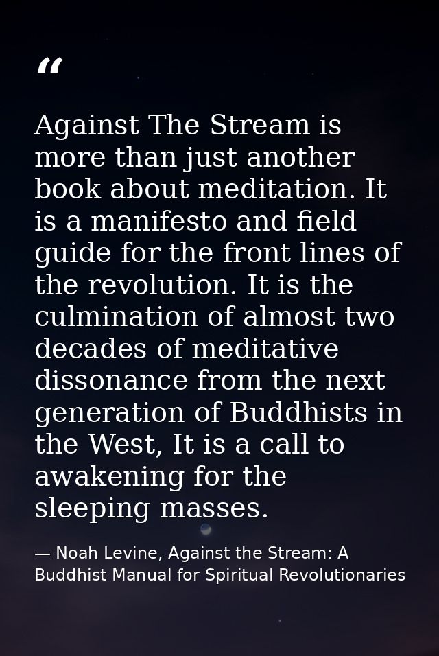 Against The Stream is more than just another book about meditation. It is a manifesto and field guide for the front line — Noah Levine, Against the Stream: A Buddhist Manual for Spiritual Revolutionaries