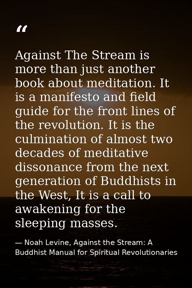 Against The Stream is more than just another book about meditation. It is a manifesto and field guide for the front line — Noah Levine, Against the Stream: A Buddhist Manual for Spiritual Revolutionaries