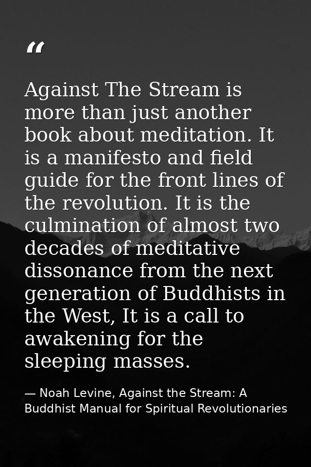 Against The Stream is more than just another book about meditation. It is a manifesto and field guide for the front line — Noah Levine, Against the Stream: A Buddhist Manual for Spiritual Revolutionaries