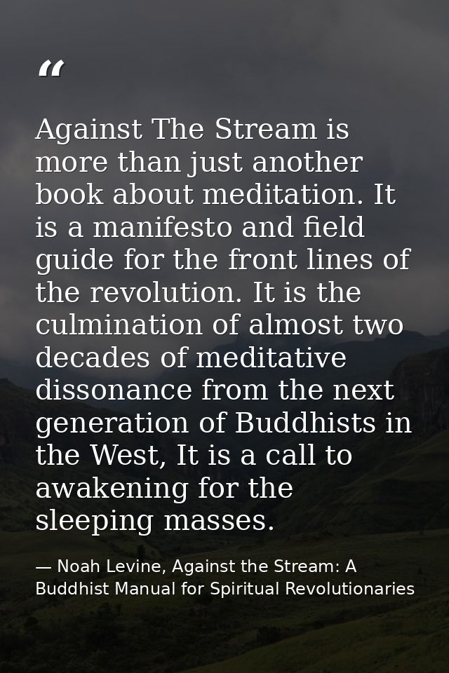 Against The Stream is more than just another book about meditation. It is a manifesto and field guide for the front line — Noah Levine, Against the Stream: A Buddhist Manual for Spiritual Revolutionaries