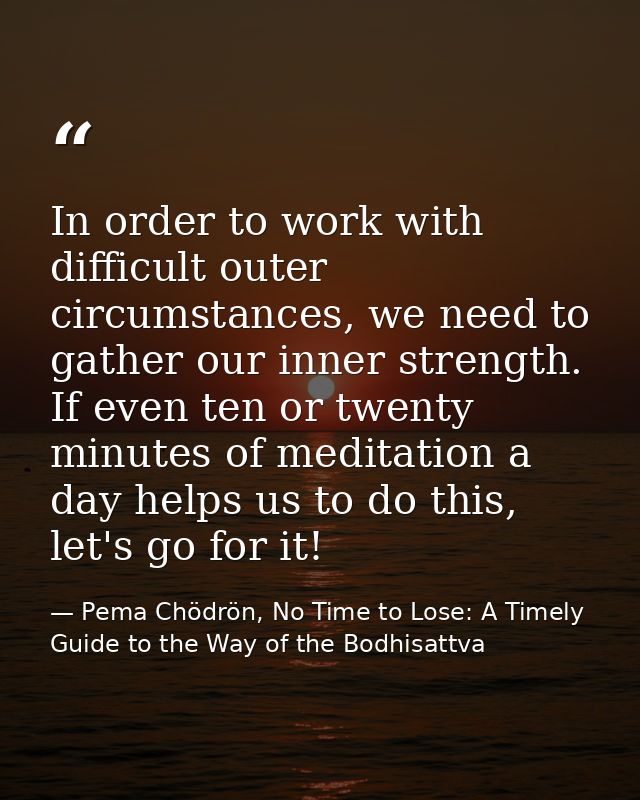 In order to work with difficult outer circumstances, we need to gather our inner strength. If even ten or twenty minutes — Pema Chödrön, No Time to Lose: A Timely Guide to the Way of the Bodhisattva