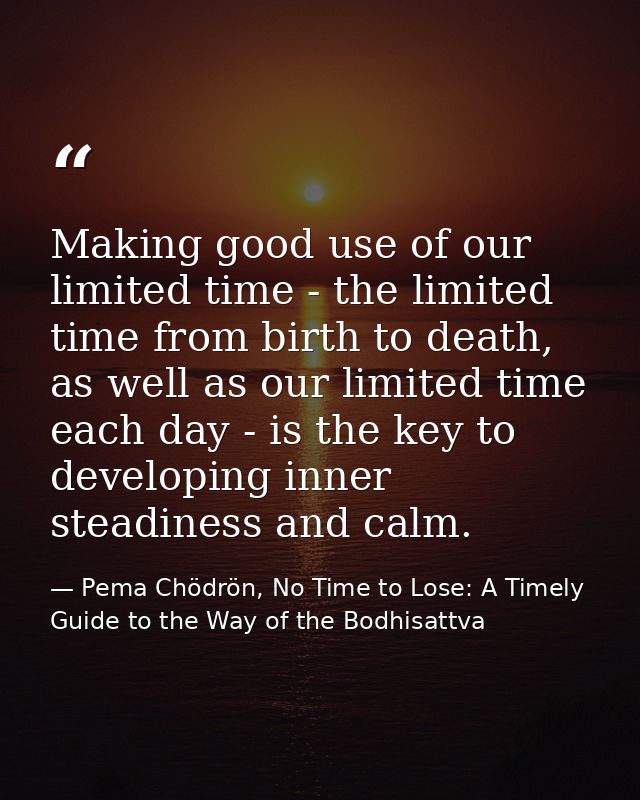Making good use of our limited time - the limited time from birth to death, as well as our limited time each day - is th — Pema Chödrön, No Time to Lose: A Timely Guide to the Way of the Bodhisattva